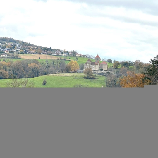  AMJ IMMO : Maison / Villa | CHAVANOD (74650) | 190 m2 | 750 000 € 